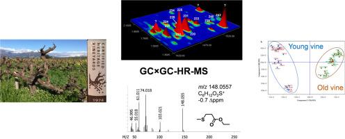 Comprehensive two-dimensional gas chromatography-high resolution mass spectrometry for the detailed qualitative analysis of old vine Chenin blanc wine volatiles and comparison with young vine Chenin blanc wines