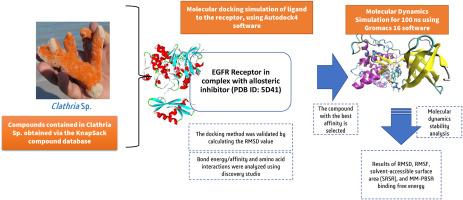 Targeting EGFR allosteric site with marine-natural products of Clathria Sp.: A computational approach