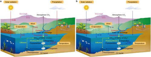 Decadal shifts in Qingzang Plateau lake carbon dynamics (1970–2020): From predominant carbon sources to emerging sinks