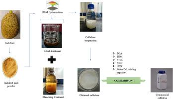 Optimization of extraction conditions for cellulose from jackfruit peel using RSM, its characterization and comparative studies to commercial cellulose