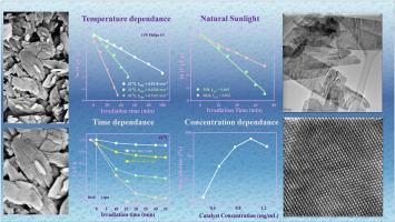 Enhanced photocatalytic degradation of organic pollutants in water using copper oxide (CuO) nanosheets for environmental application