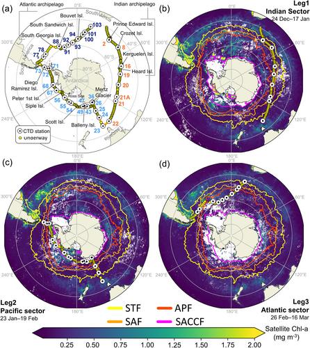 A Circum-Antarctic Plankton Isoscape: Carbon Export Potential Across the Summertime Southern Ocean