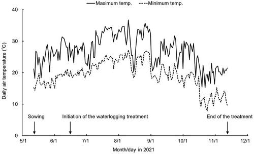 Effect of waterlogging on photosynthesis and growth of finger millet (Eleusine coracana)