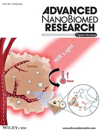 Block Copolymer-Stabilized Metal–Organic Framework Hybrids Loading Pd Nanoparticles Enable Tumor Remission Through Near-Infrared Photothermal Therapy