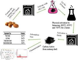 The effectiveness of activated carbon from nutmeg shell in reducing ammonia (NH3) levels in fish pond water