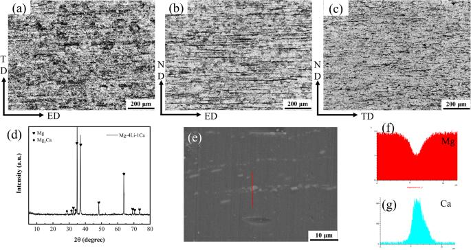 Exfoliation of an extruded Mg-4Li-1Ca alloy in presence of glucose and bovine serum albumin