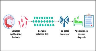 Microbial biotechnology alchemy: Transforming bacterial cellulose into sensing disease- A review