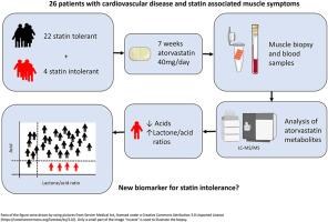 The atorvastatin metabolite pattern in muscle tissue and blood plasma is associated with statin muscle side effects in patients with coronary heart disease; An exploratory case-control study