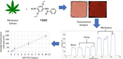 Quantitative analysis of Δ9-tetrahydrocannabinol (Δ9-THC) in cannabis plants using the Fast Blue BB (FBBB) and 4-aminophenol (4-AP) colorimetric tests