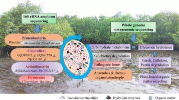 Unraveling the role of bacterial communities in mangrove habitats under the urban influence, using a next-generation sequencing approach