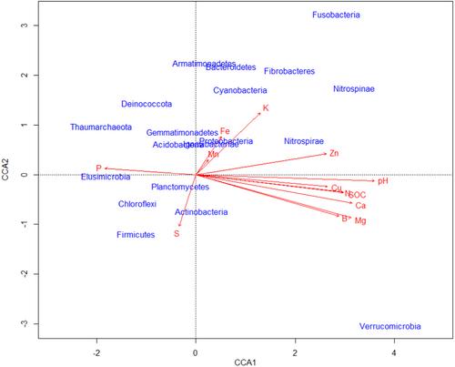 Soil bacterial community is influenced by long-term integrated soil fertility management practices in a Ferralsol in Western Kenya