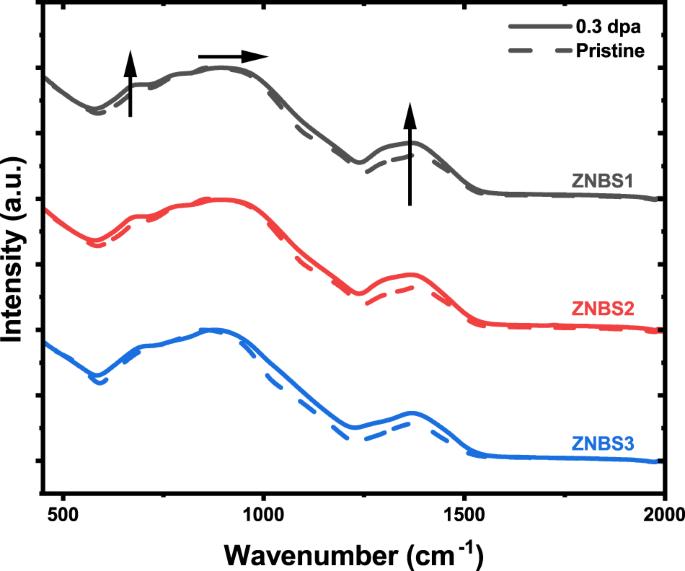 Influence of radiation on borosilicate glass leaching behaviors