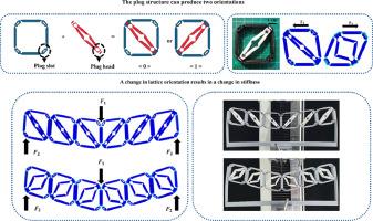 Mechanical Janus lattice with plug-switch orientation