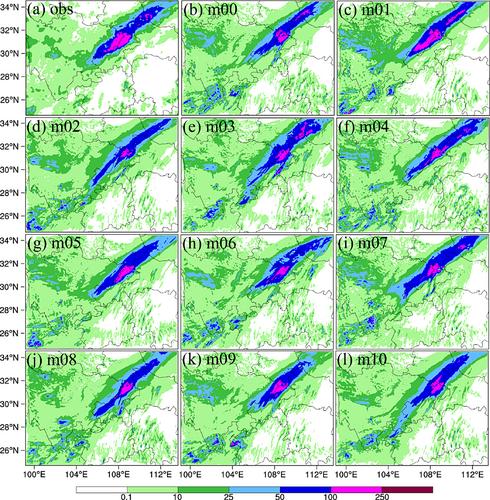 Study and application on the optimal quantile forecast of precipitation in an ensemble forecast system