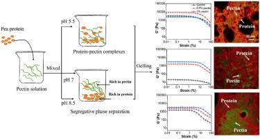 Effect of pH on the gelling properties of pea protein-pectin dispersions