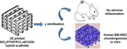 3D printed hybrid scaffolds do not induce adverse inflammation in mice and direct human BM-MSC chondrogenesis in vitro