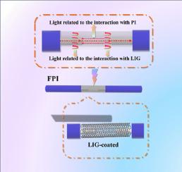 Laser-Induced graphene-based Fabry-Pérot cavity label-free immunosensors for the quantification of cortisol