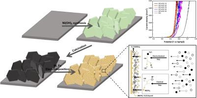 Enhanced oxygen evolution reaction in hierarchical NiFe/NiO electrocatalysts: Effects of electrodeposition condition on electrode