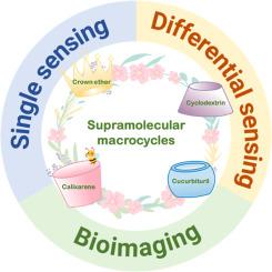 Supramolecular fluorescence biosensing based on macrocycles