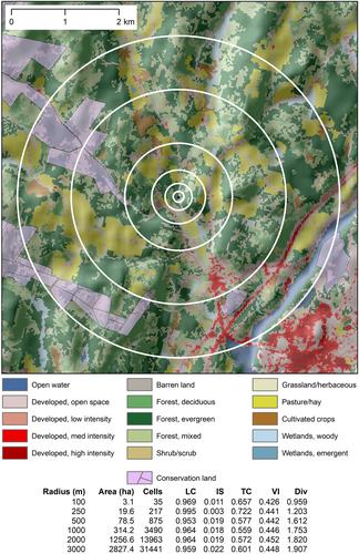 Greenspace and Land Cover Diversity During Pregnancy in a Rural Region, and Associations With Birth Outcomes