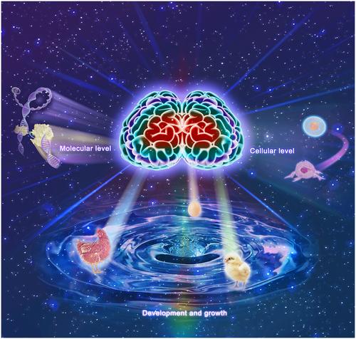 Spatiotemporal omics of life energy: Towards medicine of frequencies and terahertz drugs