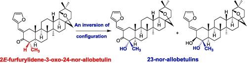 An unexpected conversion of 2E-furfurylidene-3-oxo-24-nor-allobetulin to 23-nor-allobetulins