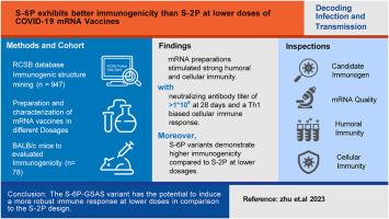 S–6P exhibits better immunogenicity than S–2P at lower doses of COVID-19 mRNA vaccines