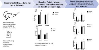 Long-term effects of neonatal pain and sucrose treatment