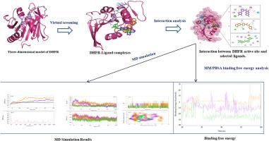 Computational identification of candidate inhibitors for Dihydrofolate reductase in Acinetobacter baumannii