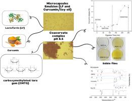 Microencapsulation of curcumin by complex coacervation of lactoferrin and carboxymethyl tara gum for incorporation into edible films