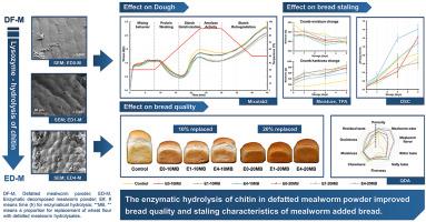 Quality and staling characteristics of white bread fortified with lysozyme-hydrolyzed mealworm powder (Tenebrio molitor L.)