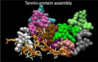 Wine tannins and their aggregation/release with lipids and proteins: Review and perspectives for neurodegenerative diseases