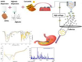 Formation of alginate/ Alyssum homolocarpum seed gum (AHSG) microgels through electrospraying technique to encapsulate and release curcumin