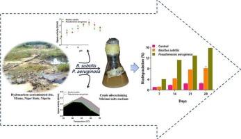 Crude oil biodegradation potential of lipase produced by Bacillus subtilis and Pseudomonas aeruginosa isolated from hydrocarbon contaminated soil