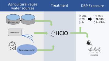 Disinfection byproduct formation from chlorination of agricultural reuse water sources