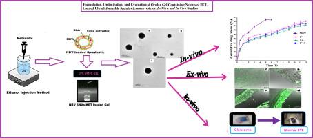 Formulation, optimization and evaluation of ocular gel containing nebivolol Hcl-loaded ultradeformable spanlastics nanovesicles: In vitro and in vivo studies