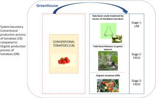 Multiple eco-efficiency solutions in tomatoes simulating biostimulant effects