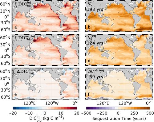 The Influence of Air-Sea CO2 Disequilibrium on Carbon Sequestration by the Ocean's Biological Pump