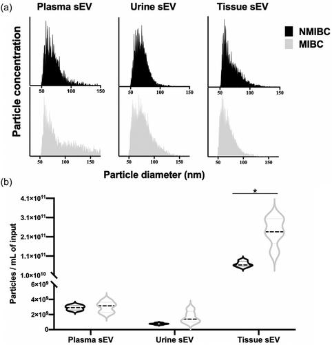 Tumour tissue-derived small extracellular vesicles reflect molecular subtypes of bladder cancer