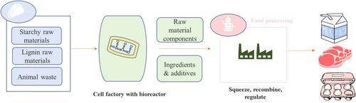 The potential of future foods for a sustainable future