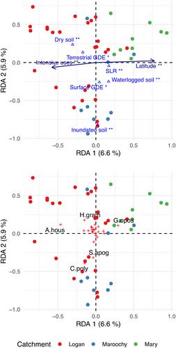 Contribution of soil seed banks to vegetation resilience in coastal freshwater wetlands of subtropical Australia