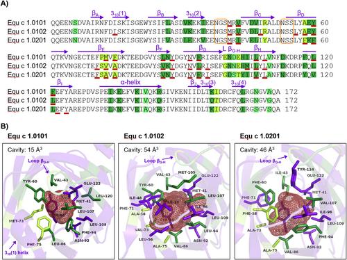 Proteomic analysis of horse hair extracts provides no evidence for the existence of a hypoallergenic Curly Horse breed