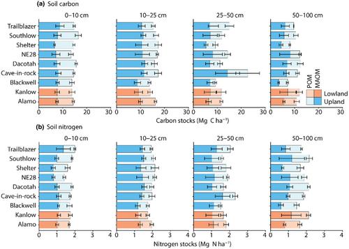 Switchgrass (Panicum virgatum L.) cultivars have similar impacts on soil carbon and nitrogen stocks and microbial function