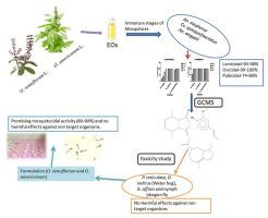 Chemical composition and mosquitocidal properties of essential oil from Indian indigenous plants Ocimum tenuiflorum L. and Ocimum americanum L. against three vector mosquitoes