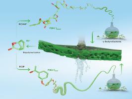 Chemically recyclable nanofiltration membranes fabricated from two circular polymer classes of the same monomer origin