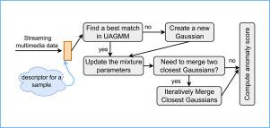 Concept drift challenge in multimedia anomaly detection: A case study with facial datasets