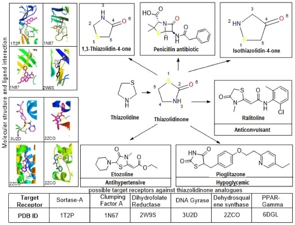 Recent insights into synthesis, biological activities, structure activity relationship and molecular interactions of thiazolidinone hybrids: A systematic review