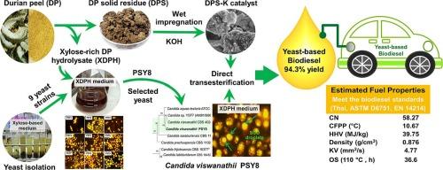 Valorization of durian peel as a carbon feedstock for a sustainable production of heterogeneous base catalyst, single cell oil and yeast-based biodiesel