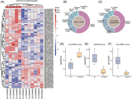 Integrated DNA methylation analysis reveals a potential role for PTPRN2 in Marfan syndrome scoliosis