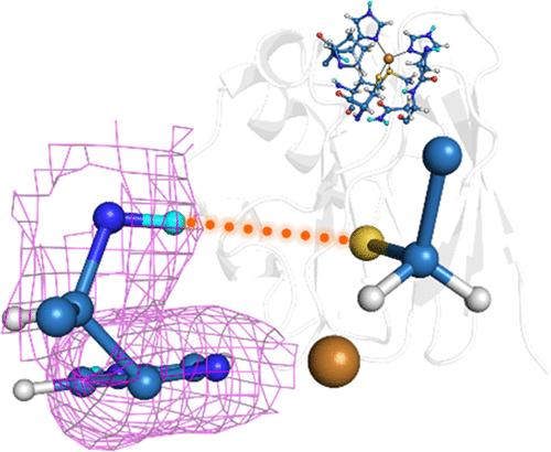Overlooked Hydrogen Bond in a Blue Copper Protein Uncovered by Neutron and Sub-Ångström Resolution X-ray Crystallography
